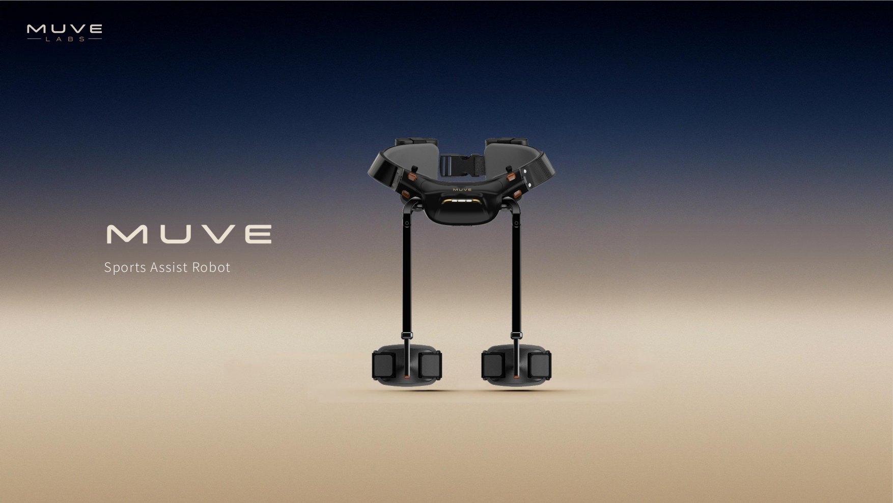 Sistema MUVE ASSIST